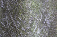 Jordanthorpe fibreglass roof work